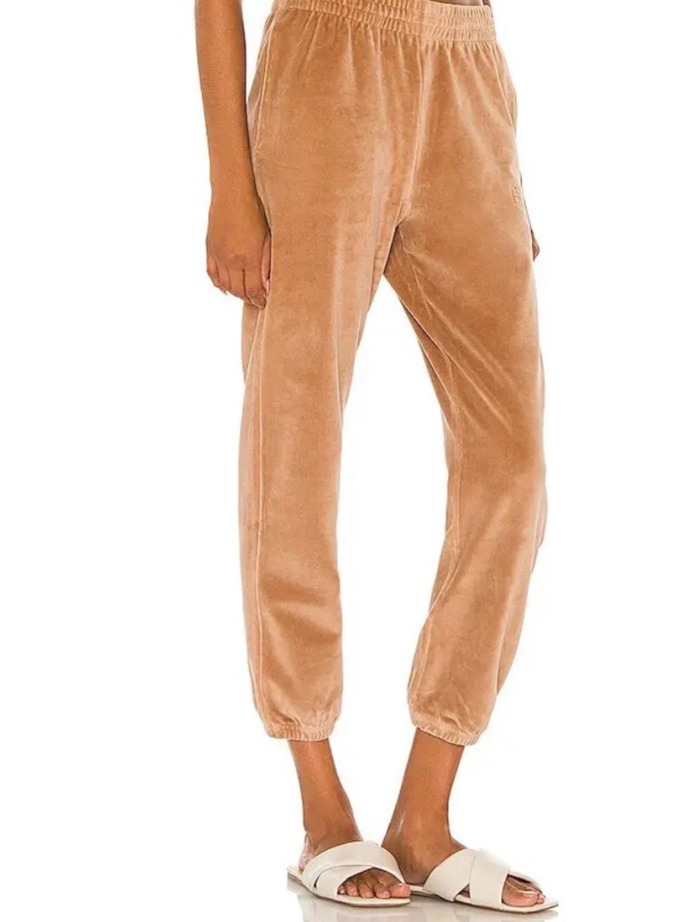 NWT ANINE BING Sport Evan Jogger Pants In Camel Taupe $149 L
